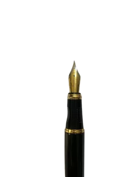 PIERRE CARDIN FOUNTAIN PEN